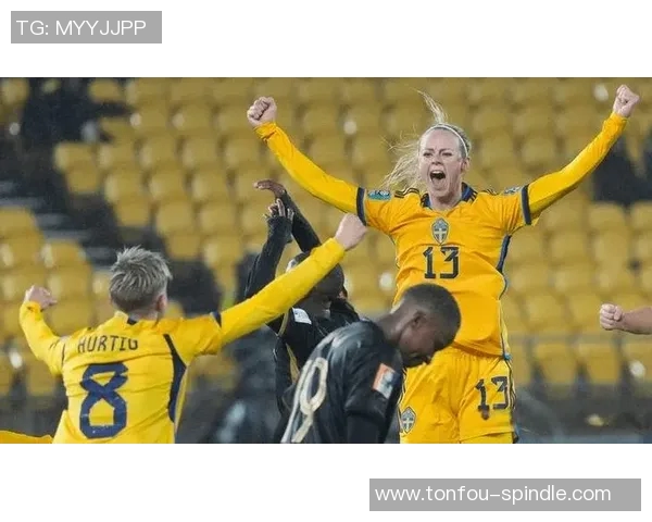 2017年瑞典与意大利精彩对决视频回顾及赛后分析