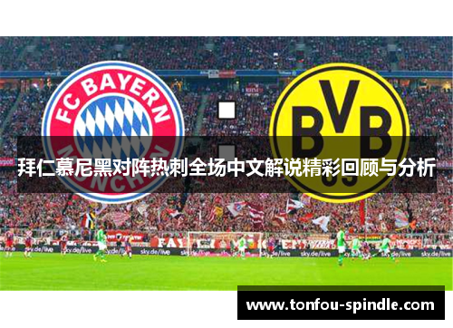 拜仁慕尼黑对阵热刺全场中文解说精彩回顾与分析